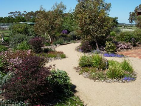 LARGE DROUGHT TOLERANT NATIVE GARDEN California Garden Design, California Native Landscape, California Landscaping, Native Plant Landscape, California Native Garden, California Wildflowers, Hillside Garden, Drought Tolerant Garden, Drought Tolerant Landscape