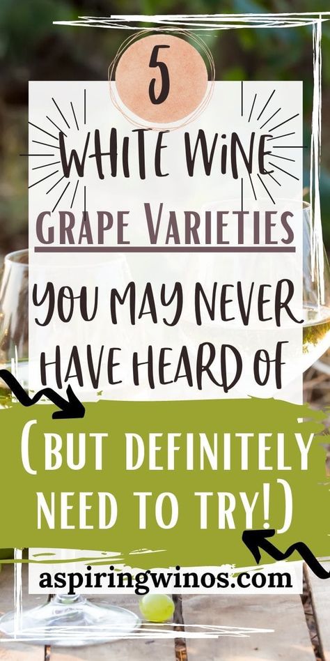 Six White Wine Grapes You Have To Try | White Wine | Never Heard Of Wines | White Wine Grapes #WhiteWines #WhiteWineGrapes #WhiteWinesYouHaveToTry #NeverHeardOfWines White Wine Grapes, Wine Cocktail Recipes, Wine Grape, Grape Varieties, How To Make Red, Wine Grapes, Semillon, Wine Education, Red Wines