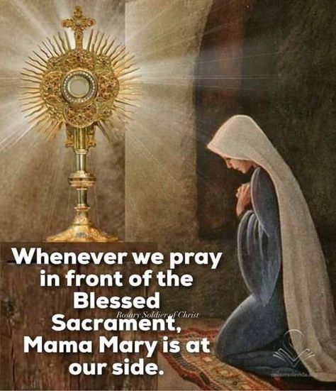 24/7 Live Eucharistic Adoration Streams – The Catholic Me Adoration Prayer, Adoration Catholic, Catholic Saints Prayers, Catholic Gentleman, Eucharistic Miracle, Have Mercy On Me, Catholic Sacraments, Catholic Prayers Daily, The Blessed Sacrament