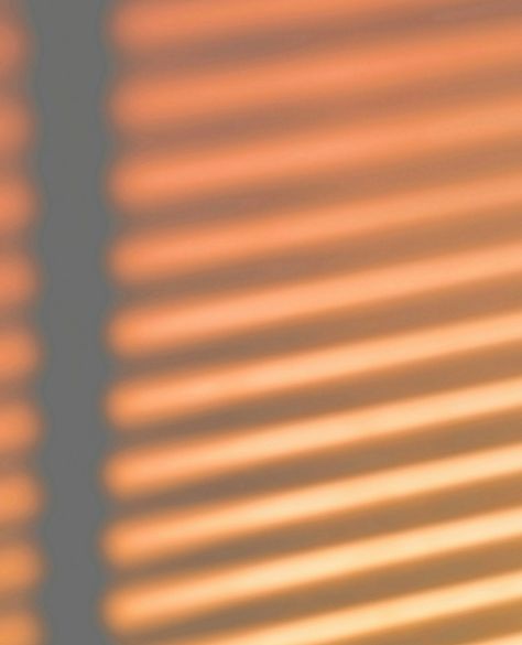 Window Blinds Shadow, Blinds Shadow, Shadow Overlay, Window Blinds, Love Yourself, Golden Hour, Blinds, Free Download