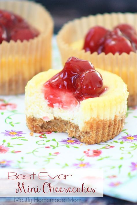 THE BEST recipe ever for Mini Cheesecakes! My kids beg me to make these again and again! High Altitude Recipes Colorado, Fruit Coulis, Mini Patisserie, Biscotti Cheesecake, Philadelphia Cheesecake, Dessert Mini, Mini Cheesecake Recipes, Torte Cupcake, Brownie Desserts