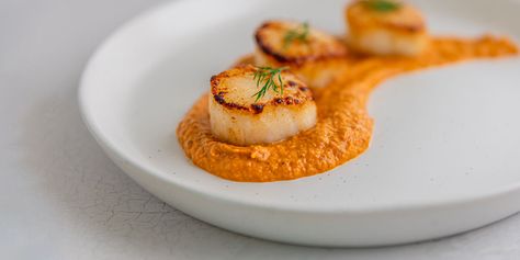 Seared Scallops with Red Pepper & Tomato Soubise Recipe Soubise Recipe, Bone Health Recipes, Soubise Sauce, Seared Scallops Recipe, Pescatarian Meals, Scallops Recipe, Dried Scallops, Seared Scallops, Cooking Tomatoes