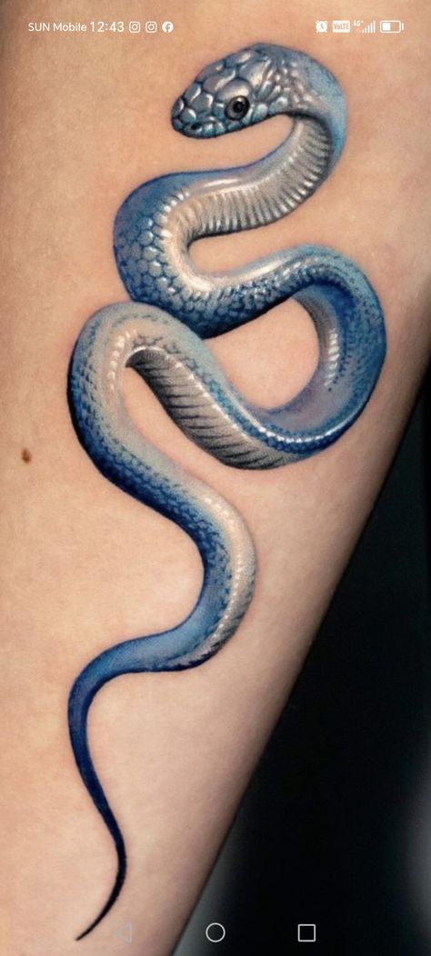 Snake Tattoo Reference, Porcelain Snake Tattoo, Eyelash Viper Tattoo, Geometric Snake Tattoo, Snake Tattoo Color, Blue Snake Tattoo, Blue Viper, Snake Flower, Rib Tattoos For Guys