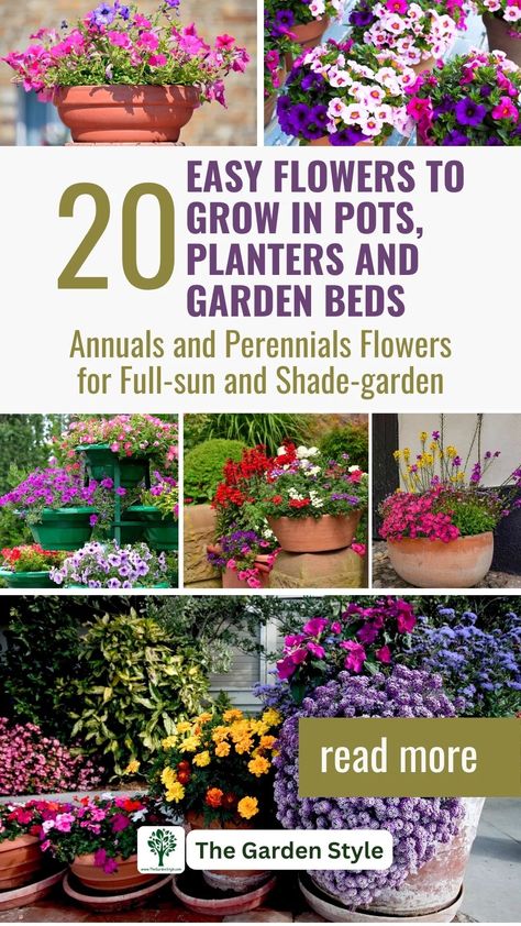 They Annual Flower Arrangements In Pots, Flowers For Pots In Full Sun, Part Sun Part Shade Container Plants, Annual Flowers For Full Sun Pots, Best Plants For Containers, Full Sun Flowers For Pots, Flowers For Outdoor Pots, Best Planter Flowers, Backyard Flower Pot Ideas