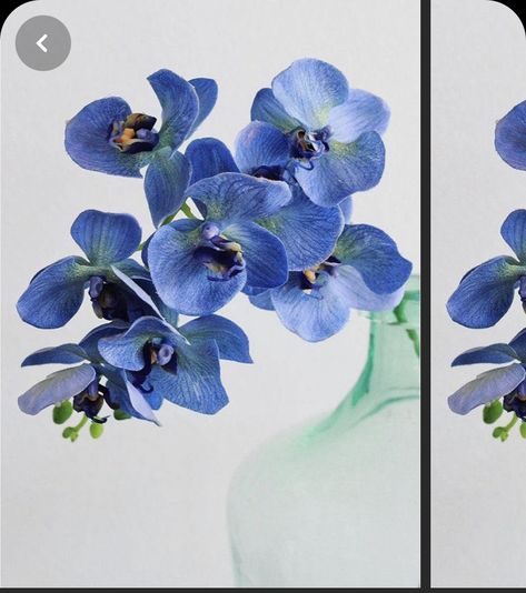 Orchids Wedding, Blue Orchid Flower, Silk Flower Wedding Bouquet, Orchid Collection, Wedding Flower Guide, Silk Orchids, Pew Bows, Moth Orchid, Orchids Garden