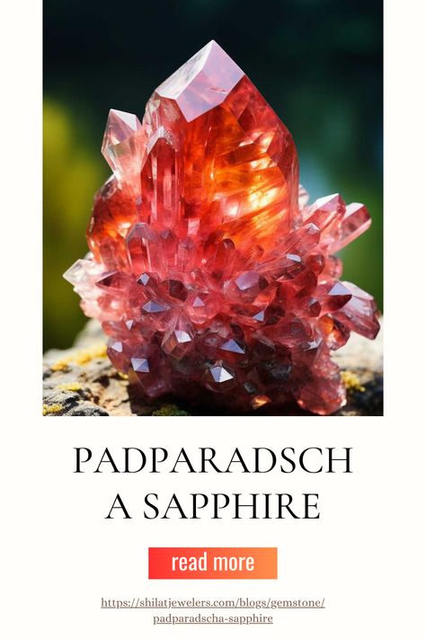 Padparadscha sapphires are a unique and rare variety of sapphire known for their delicate mix of pink and orange hues. These stunning gemstones are highly sought after for their mesmerizing colors and are often associated with creativity and intuition. #PadparadschaSapphire #SapphireJewelry #GemstoneBeauty #LuxuryGems #RareGemstones #ColorfulSapphires #JewelryDesign #FineJewelry #GemsOfTheWorld #PreciousStones Enagement Rings, Gemstone Jewelry Earrings, Gemstone Jewellery Design, Orange Hues, Padparadscha Sapphire, Round Cut Engagement Rings, Sapphire Color, Tourmaline Necklace, Yellow Earrings