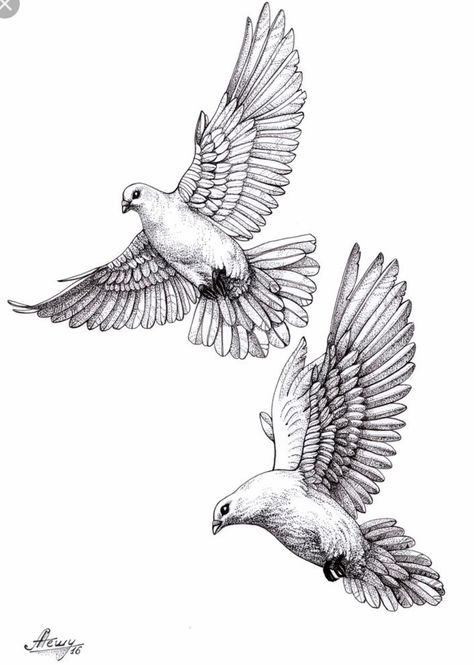 Pigeon Tattoo, Dove Drawing, Dove Tattoo Design, Vogel Tattoo, Dove Tattoos, Tattoo Bird, Dove Tattoo, Cloud Tattoo, Religious Tattoos