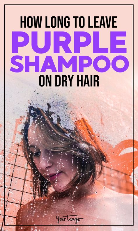 Purple Shampoo Toner, Silver Hair Shampoo, Brassy Blonde Hair, Cool Blonde Tone, Purple Shampoo For Blondes, Best Purple Shampoo, Violet Shampoo, Purple Conditioner, Brassy Blonde