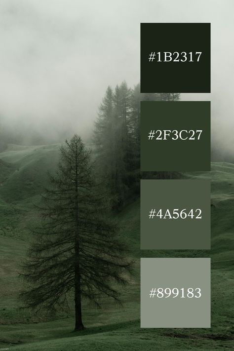 Foggy Hillside: Tall, slender trees standing quietly on a foggy hillside, with the muted green grass and trees blending seamlessly into the misty atmosphere, embodying a muted green color palette. Forest Green Branding Palette, Muted Green Interior, Forest Green And Grey Color Palette, Color Combo For Green, Muted Greens Color Palette, Pine Tree Color Palette, Dark Forest Green Color Palette, Black White Grey Green Color Palette, Pine Green Color Palette