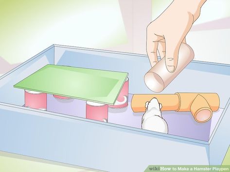 How to Make a Hamster Playpen: 14 Steps (with Pictures) - wikiHow Hamster Playpen, Empty Plastic Bottles, Paper Towel Tubes, Hamster House, Syrian Hamster, A Hamster, Year 3, Small Animals, Lego Brick