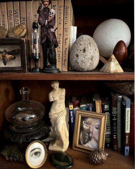 Oddities Decor, Cabinet Of Curiosity, Curiosity Cabinet, Cabinet Of Curiosities, Living Styles, Classical Art, Dream Decor, Elegant Homes, Interior Inspo