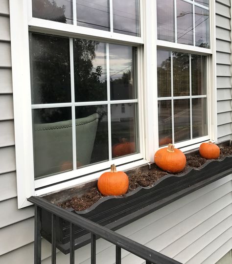 Fall Curb Appeal: How to fill a Window Box for under $20 Call Window Boxes, Window Boxes Fall Autumn, Window Flower Boxes Fall, Fall Decor Window Sill, Diy Fall Window Boxes, Fall Planter Boxes Ideas, Windowbox Planter Ideas Fall, Mums Window Boxes, Faux Fall Window Boxes