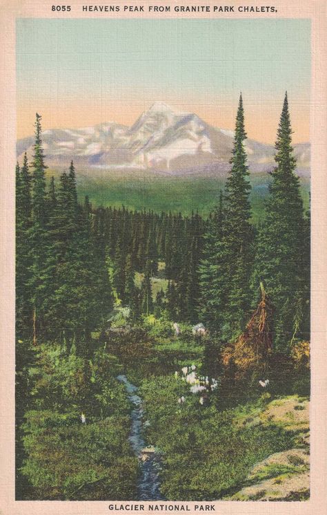 Vintage Posters For Wall, Nature Poster Aesthetic, Vintage Bedroom Posters, Nature Aesthetic Poster, Vintage Nature Posters, Vintage National Park Postcards, Nature Collage Aesthetic, Vintage Adventure Aesthetic, Green Prints Aesthetic