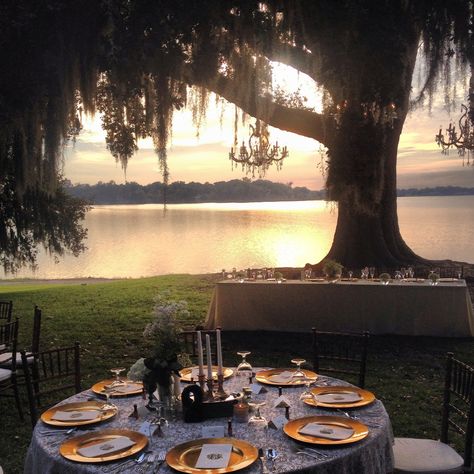 Wedding Venues Louisiana, Bayou Wedding, Louisiana Wedding Venues, Louisiana Wedding, Lafayette Louisiana, New Orleans Wedding, Southern Wedding, Wedding Mood, Dreamy Wedding