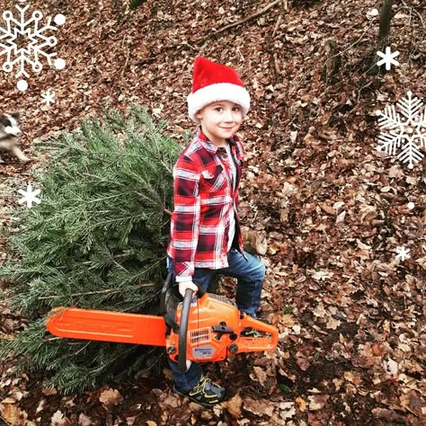 Toddler Christmas Photos, Fun Family Portraits, Toddler Pictures, Holidays With Toddlers, Christmas Tree Pictures, Christmas Card Pictures, Christmas Photo Ideas, Xmas Pictures, Atv Riding