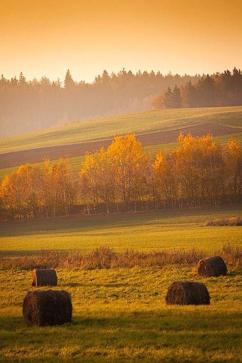 Country Prints, Fields Of Gold, Hay Bales, Design Posters, Lombok, Country Living, Farm Life, Country Life, Belle Photo