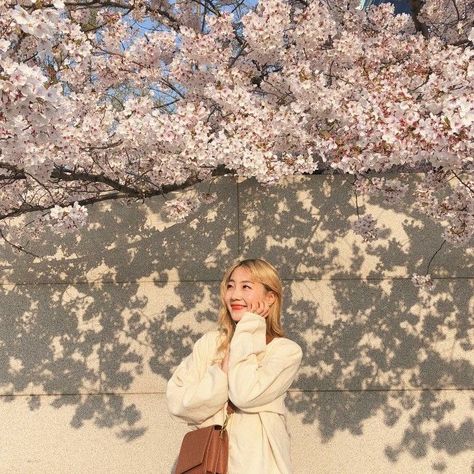 Japan Ootd Spring, Aestetic Picture, Library Photo Shoot, Cherry Blossom Pictures, Spring Ootd, Flower Photoshoot, Ootd Spring, Princess Pictures, 사진 촬영 포즈