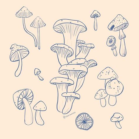 Toadstool Mushroom Drawing, Flat Mushroom Drawing, Chantrell Mushrooms Drawing, Tree Mushrooms Drawing, Mushroom Moodboard, Fungi Tattoos, Fungi Drawings, Mushroom Mural, How To Draw Mushrooms