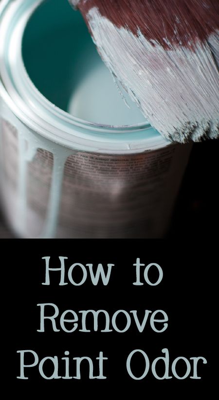 That stinky paint smell is not just annoying, it is actually hazardous chemicals that you are breathing into your body. Would you like to get rid of stinky paint smell? Here are some options. How To Get Rid Of Paint Smell In House, How To Remove Paint, Painted Sofa, Paint Smell, Indoor Paint, Remove Paint, Gallon Of Paint, Easy Cleaning Hacks, Remove Toxins