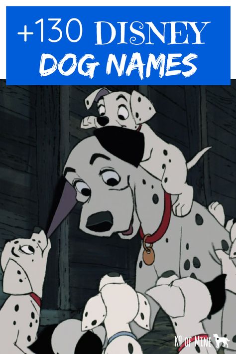 Disney names for your dog! #dogs Dog Names Disney, Disney Dog Names, Disney Pet Names, Puppy Names Unique, Disney Character Names, Puppies Names Female, Dogs Names List, Cartoon Characters Names, Cute Puppy Names