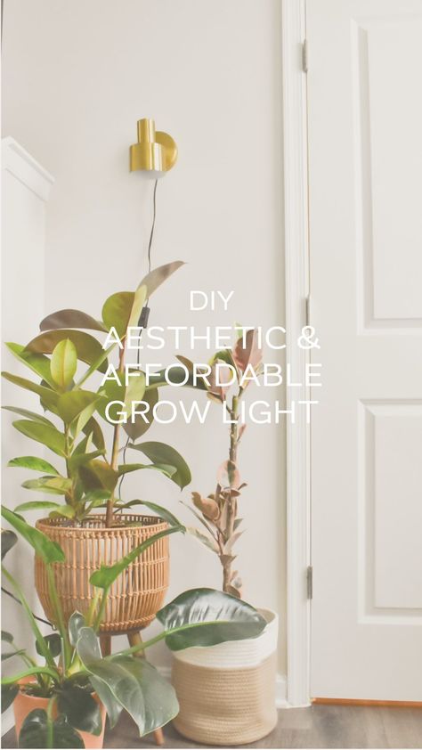 This is my go to way to add grow lights around my house in an affordable & aesthetic way. It only takes a few minutes to set up and it… | Instagram Cute Grow Light Setup, Aesthetic Grow Light Set Up, Aesthetic Grow Light, Grow Light Set Up, Plant Lights, Indoor Tree, Affordable Aesthetic, Plants Home, Grow Lights For Plants