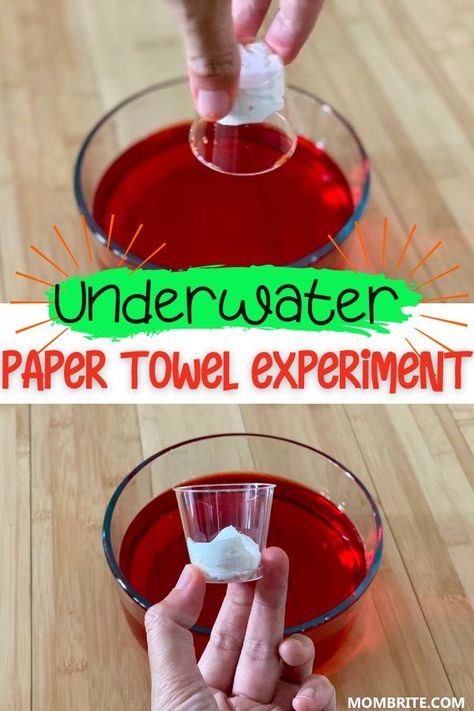 Paper Towel Water Experiment, Veterans Day Science Experiment, Science Art Projects For Kids Preschool, Oil And Water Experiments For Kids, Paper Towel Science Experiment, Harvest Science Preschool, Water Exploration Preschool, Discrepant Event Science Elementary, Space Science Experiments For Preschool