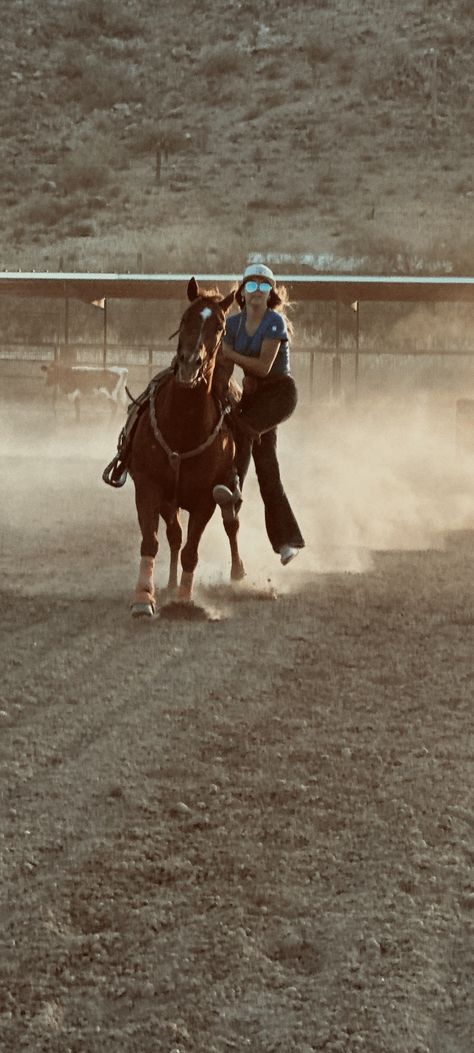 Horseback Riding Aesthetic Western, Trick Riding Aesthetic, Horse Racing Aesthetic, Horseback Riding Aesthetic, Goat Tying, Liberty Horse, Roping Horse, Pictures With Horses, Rodeo Horses