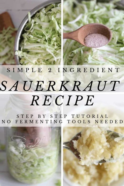 Learn how to make delicious fermented vegetables with this simple 2 ingredient sauerkraut recipe.  Incorporating sauerkraut into your daily routine can promote healthy gut flora and overall wellness. #sauerkraut #howtomakesauerkraut #fermentedfoods #homemadefermentedfoods Making Sauerkraut, Sauerkraut Recipe, Fermenting Weights, Fermented Cabbage, Sauerkraut Recipes, Fermented Vegetables, Gut Flora, Gaps Diet, Vegetarian Cabbage