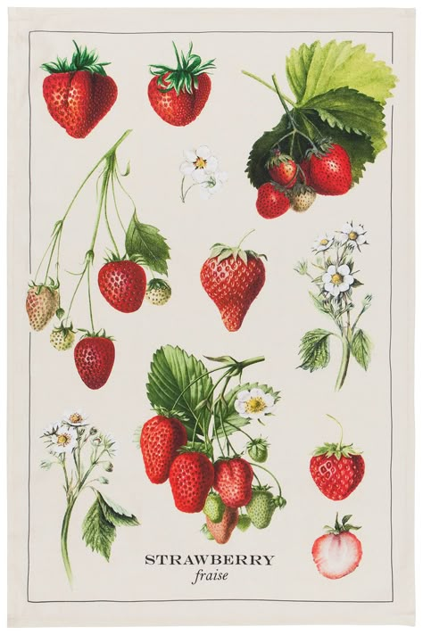 PRICES MAY VARY. 100% Cotton A vivid strawberry bounty collage in hues of red, green, white and yellow provide a charmingly sweet vintage design to your kitchen Ultra absorbent towels perfect to keep on hand around the kitchen and dining room. Charming, unique designs complement home decor. 18 x 28 inches 100% cotton towels keep their size, shape and color through repeated use and cleaning Machine wash warm and tumble dry low for easy care. Do not bleach Now Designs is a collection of kitchen an Strawberry Plant Care, Strawberry Dishes, Strawberry Kitchen, Plant Care Instructions, Strawberry Tea, Strawberry Plants, Red Strawberry, Strawberry Print, Flowers Wallpaper