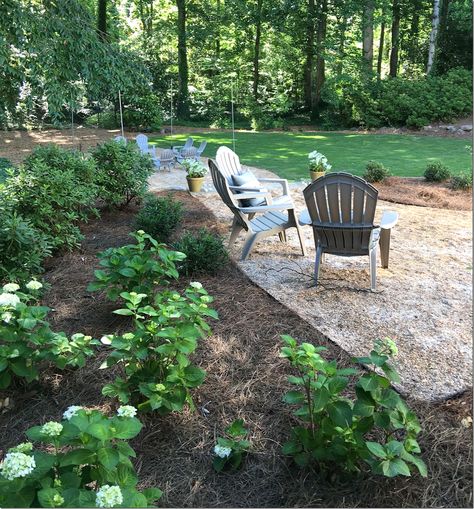 AFTER:  New beds of hydrangeas and azaleas next to pea gravel seating areas.   Further back is the new firepit surrounded by hanging lights for the nighttime. Pine Straw Landscaping, Fire Pit Landscaping, Gravel Patio, Pea Gravel, Backyard Inspiration, Garden Yard Ideas, Fire Pit Backyard, Firepit, Landscape Projects