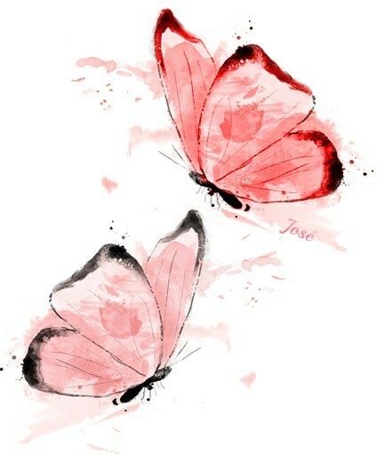 Butterfly Watercolor Painting, Painting Clipart, Butterflies Clipart, Staplers, Butterfly Art Painting, Butterfly Clip Art, Butterfly Pictures, Butterfly Drawing, Best Tattoo Designs