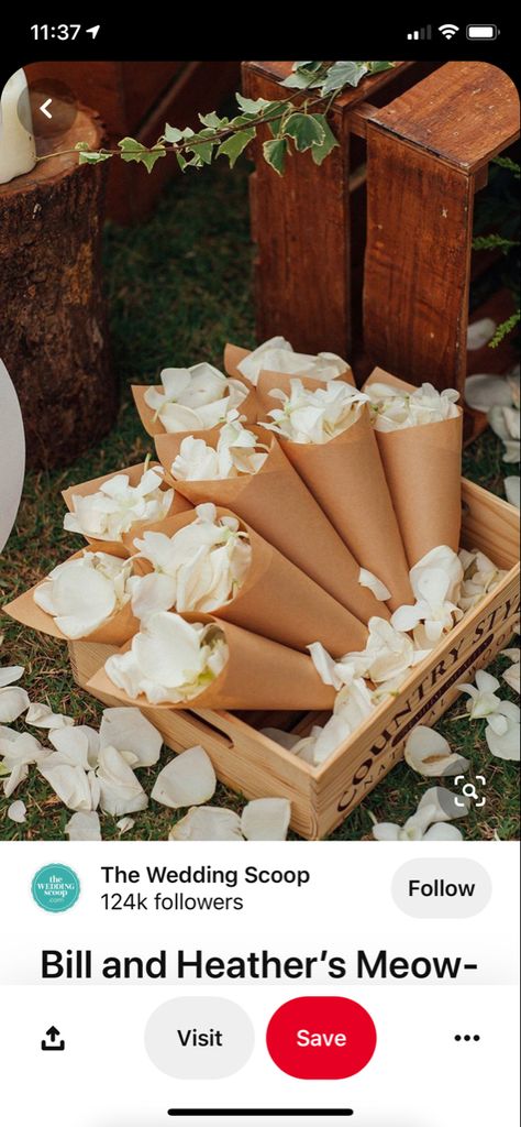 Flower Petal Confetti, Confetti Cones, Wedding Send Off, Petal Confetti, Wedding Confetti, Wedding Mood Board, Flower Petal, Wedding Mood, Wedding Deco