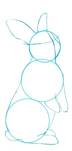 Comment dessiner un lapin ? – Crayons et Pinceaux Bridesmaid Dresses Knee Length, Wedding Maid Of Honor, Country Bridesmaid, Country Bridesmaid Dresses, Dresses Knee Length, Wedding Maids, Knee Length Bridesmaid Dresses, Cute Easy Drawings, Chiffon Lace