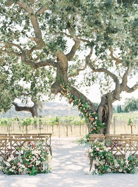 A Floral Adorned Oak Tree Was the Main Event at This Sunstone Winery Summer Wedding Stephanie Cole, Sunstone Winery Wedding, Tree Wedding Ceremony, Sunstone Villa, Wedding Tree Decorations, Oak Tree Wedding, Elopement Planner, Spring Outdoor, Villa Wedding