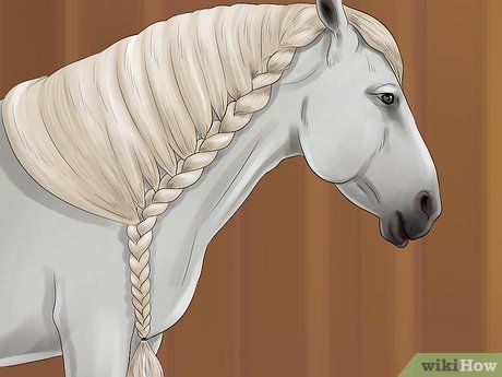 Image titled Braid a Horse's Mane Step 40 How To Braid Horses Manes, Mane Braids For Horses, Horse Braids Mane, Horse Mane Styles, Horse Braids, Horse Mane Braids, Horse Hair Braiding, Horse Braiding, Horse Facts