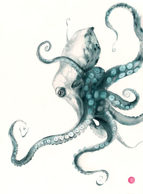 Black And White Whale Drawing, Octopus Tattoo Design Drawing, Octopus Art Drawing, Kraken Drawing, Floral Octopus, Watercolor Octopus, Octopus Watercolor, Octopus Drawing, Octopus Painting