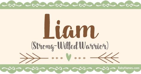 All about the name Liam: Meaning, origin, and popularity of Liam. What does Liam mean? Click for more information about the name Liam and thousands of other baby names. Unisex Baby Names, Gender Neutral Names, Female Names, Name Generator, Name Meaning, Kids Sleep, Baby Boy Names, Character Names