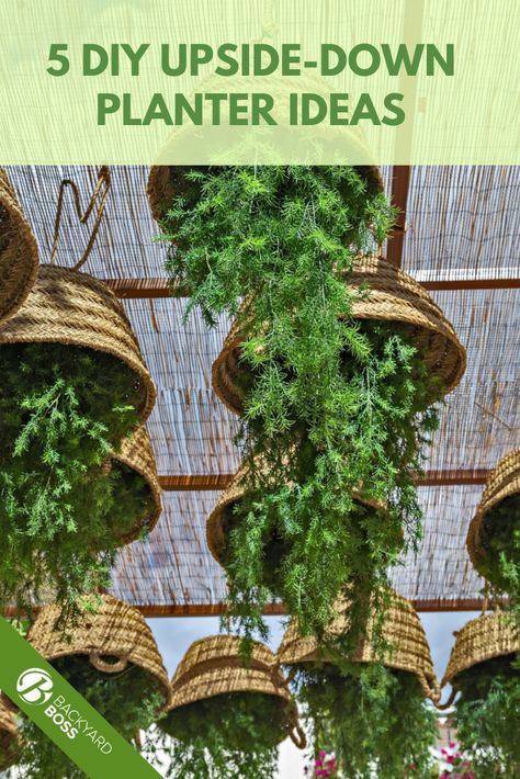 Upside-down gardening is an excellent and different way to build your home garden. Here are five DIY upside-down planter ideas to begin with and give your vertical garden a beautiful appearance. Upside Down Planting, Diy Vertical Garden Indoor, Diy Upside Down Planter, Hanging Garden Decorations, Upside Down Herb Garden, Upside Down Garden, Vertical Hanging Planter, Greenhouse Vertical Garden, Hanging Vegetable Garden Ideas