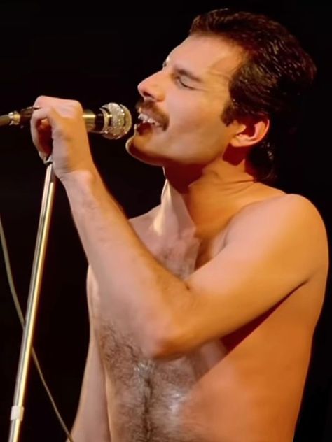 Freddie My Love, Queen Freddie Mercury, Freddie Mercury, My Love, Love Of My Life, Of My Life, My Life, Queen