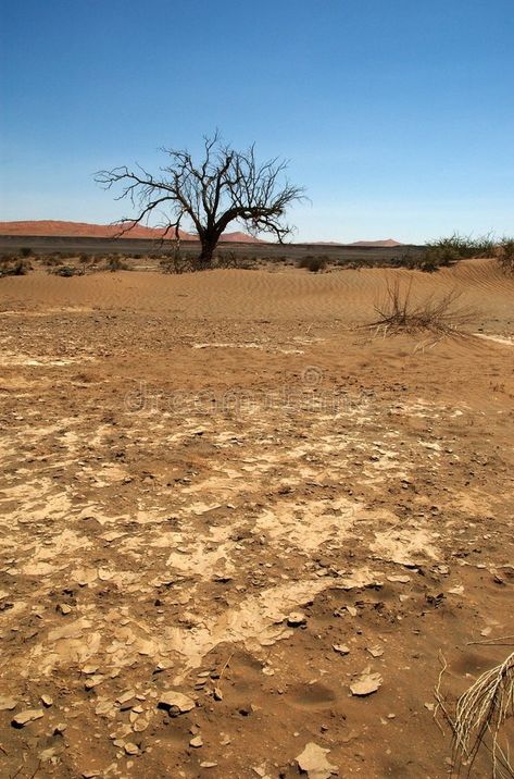 Dry earth in namib desert. Image was shot out of a vlei (dry riverbed) in th ena , #Sponsored, #desert, #Image, #namib, #Dry, #earth #ad Dry Earth, Desert Biome, Desert Area, Dry Desert, Namib Desert, Dry Land, Word Building, Model Art, Poster Design Inspiration