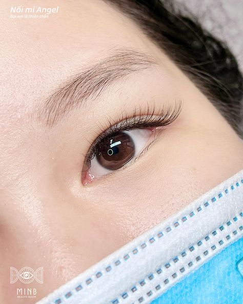 Monolid Eyes, Eyelash Extensions Styles, Natural Eyelash Extensions, Korean Eye Makeup, Eyelash Extentions, Ulzzang Makeup, Natural Eyelashes, Eye Lashes, Lashes Makeup