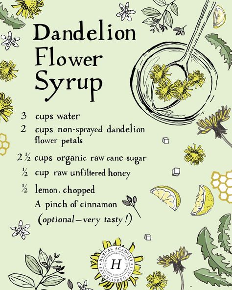 Sweeten Your Breakfast With Dandelion Flower Syrup - Herbal Academy Flower Syrup, Witch Recipes, Odd Facts, Herbal Academy, Kitchen Witch Recipes, Foraging Recipes, Herbs Garden, Healing Remedies, Herbal Recipes