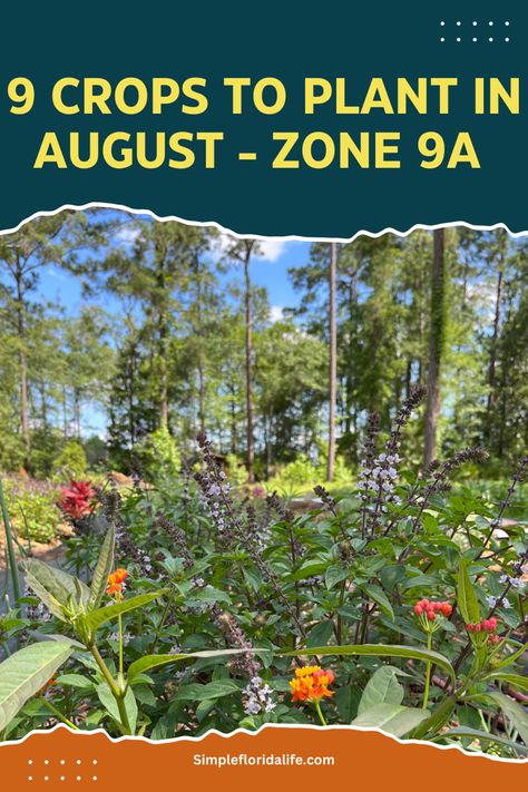 North Florida Garden, Zone 9a Planting Schedule, North Florida Gardening, What To Plant In August, Fall Planting Guide, Zone 9 Gardening, Girly Garden, Garden 101, Garden Checklist