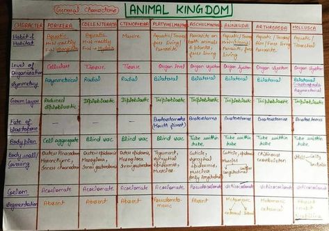 Kingdom Protista Notes Class 11, Animal Kingdom Short Notes, Biology Short Notes For Neet, Animal Kingdom Notes Neet, Neet Biology Flashcards, Neet Inspiration, Animal Kingdom Notes, Biology Tricks, Botany Notes