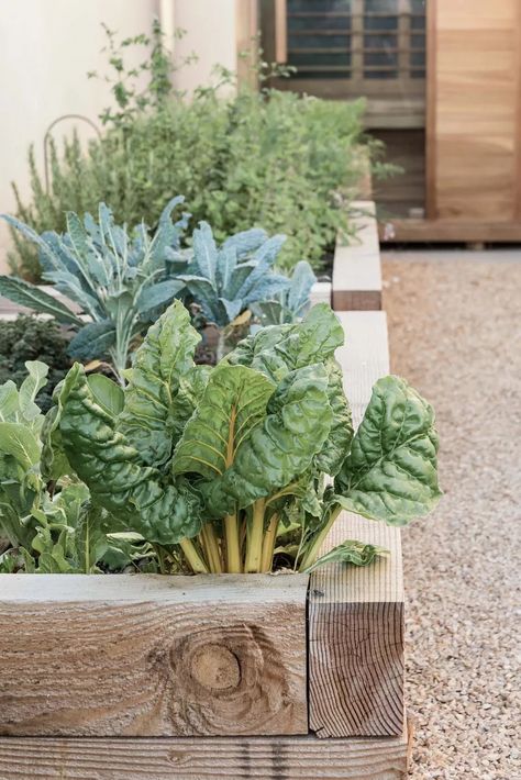 Pure Salt Interiors, Small Garden Ideas, Small Vegetable Gardens, Veg Garden, Vegetable Garden Design, Veggie Garden, Garden Cottage, Farm Gardens, Small Gardens