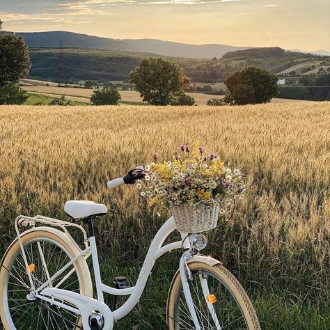 Vintage Bicycles Aesthetic, Sidney Aesthetic, Aesthetic Bikes, Bikes Aesthetic, Astetic Photos, Bike With Flowers, Pretty Bicycle, Biking Aesthetic, Bicycle Aesthetic