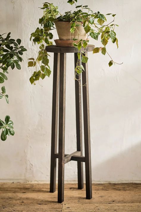 Black Wood Plant Stand | Terrain Wooden Plant Stands Indoor, Tall Plant Stand Indoor, Tall Plant Stand, Front Porch Plants, Plants Stand, Tall Indoor Plants, Porch Plants, Garden Plant Stand, Dream Cabin