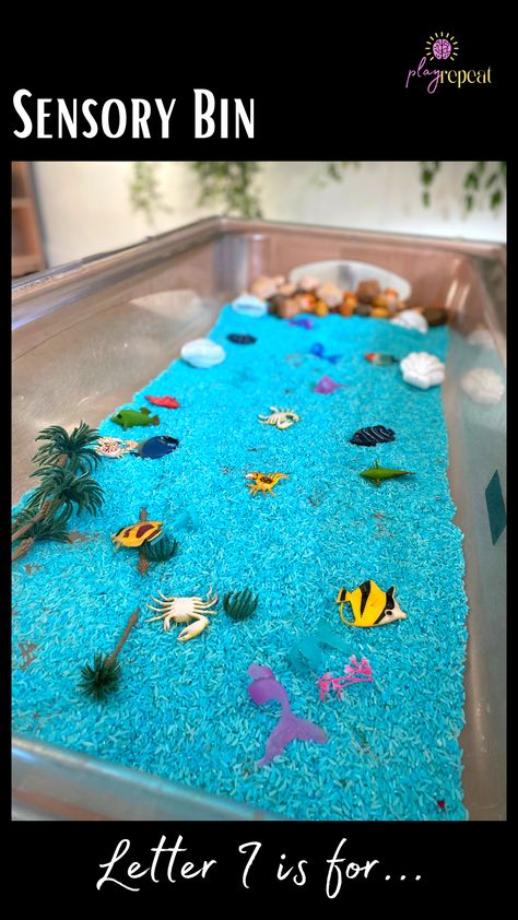 Letter O Sensory Bin, Zoo Phonics, Alphabet Pictures, S Alphabet, Alphabet Matching, Letter Matching, Letter Of The Week, Play Based, Letter O