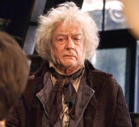 Mr.Ollivander wondering if they finally foundthe right wand for Harry Curious Meme, Garrick Ollivander, John Hurt, Harry Potter Painting, Slytherin And Hufflepuff, Harry Potter Wall, Harry Potter Cosplay, Rory Williams, The Sorcerer's Stone