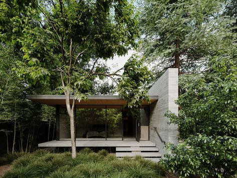 Sanctuary House, Minimal Architecture, Concrete House, Eco House, Forest House, Glass House, House Designs Exterior, Future House, Modern House Design